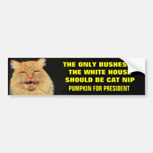 Nur Bush im Weißen Haus ...Pumpkin für Präsident Autoaufkleber