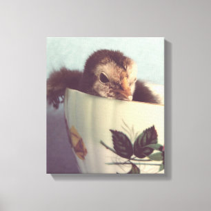 Nur Chillin hier in diesem Teacup Leinwanddruck