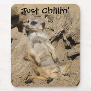 Nur Chillin' Meerkat Foto Mouse Pad Mousepad