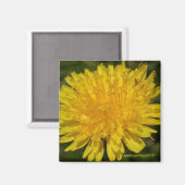 Nur Dandy! Magnet (Vorderseite/Rückseite)