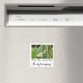 Nur das Beginnmagnet Magnet (In Situ (Geschirrspüler))