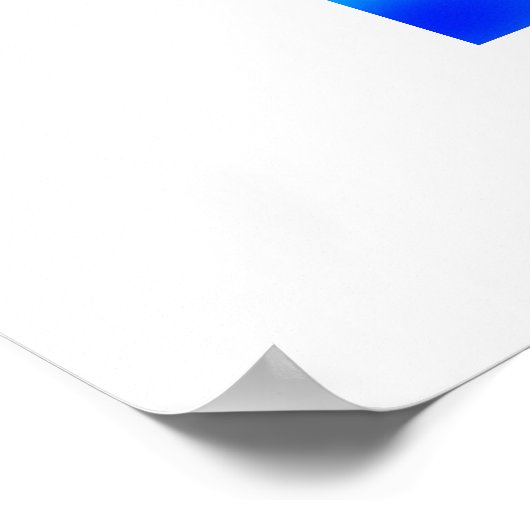 Nur Delphine Tierkunst Poster (Ecke)