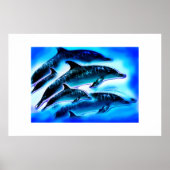 Nur Delphine Tierkunst Poster (Vorne)