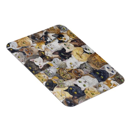 Nur der Katzenflüsterer Magnet (Rechte Seite)