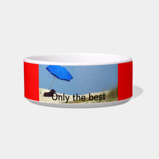 Nur die beste Dog Dish Napf