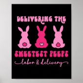 Nur die Lieferung der süßesten Bunnies-Arbeitskräf Poster (Vorne)