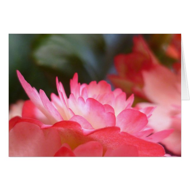 Nur drei Dinge (Vorderseite (Horizontal))