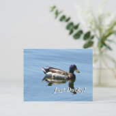 Nur Ducky! Postkarte (Stehend Vorderseite)