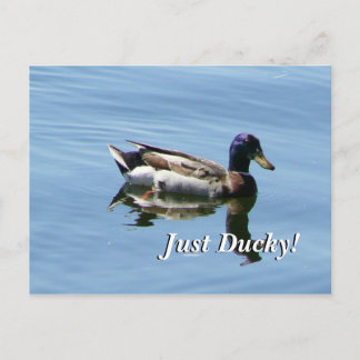 Nur Ducky! Postkarte