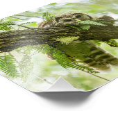 Nur ein Flüchtige Blick Fotodruck (Ecke)