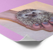 Nur ein handlicher Igel Poster (Ecke)