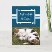 Nur ein Hinweis, dass Katzenwelten weiß sind Karte (Vorderseite)