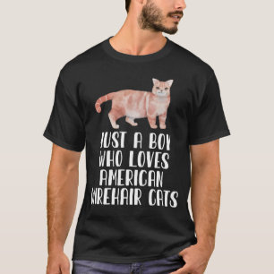 Nur ein Junge, der American Wirehair Katzen liebt T-Shirt