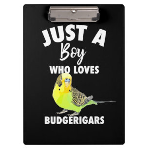 Nur ein Junge, der Budgerigars Paprot Liebe Klemmbrett