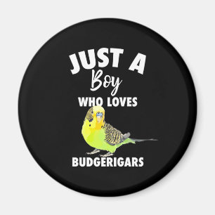 Nur ein Junge, der Budgerigars Paprot Liebe Magnet