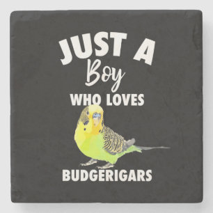Nur ein Junge, der Budgerigars Paprot Liebe Steinuntersetzer