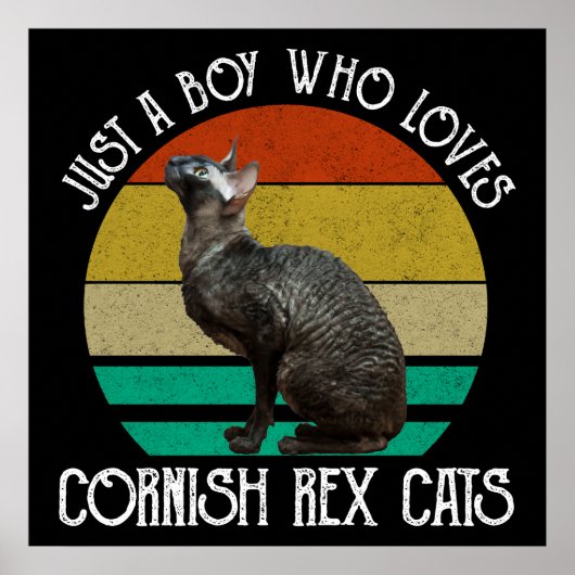 Nur ein Junge, der Cornish Rex Katzen liebt Poster (Vorne)