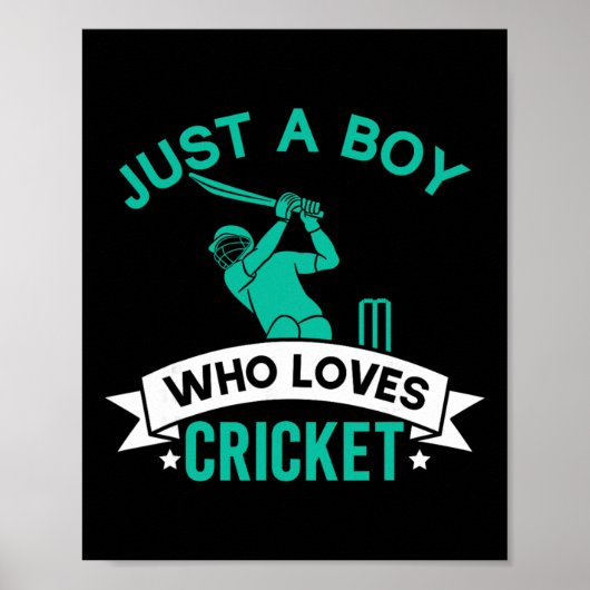 Nur ein Junge, der Cricket-Spieler lustiges Cricke Poster (Vorne)