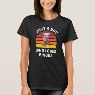 Nur ein Junge, der Lieben Bingus haarlose Sphynx K T-Shirt