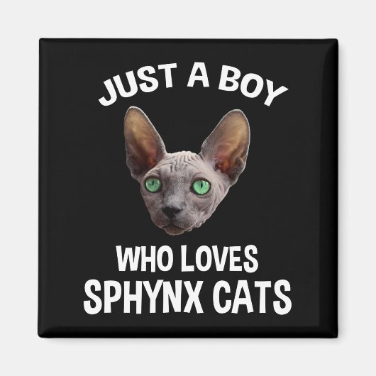 Nur ein Junge, der Sphynx-Katzen Liebe Magnet (Vorne)