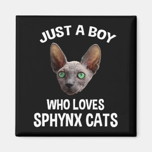 Nur ein Junge, der Sphynx-Katzen Magnet