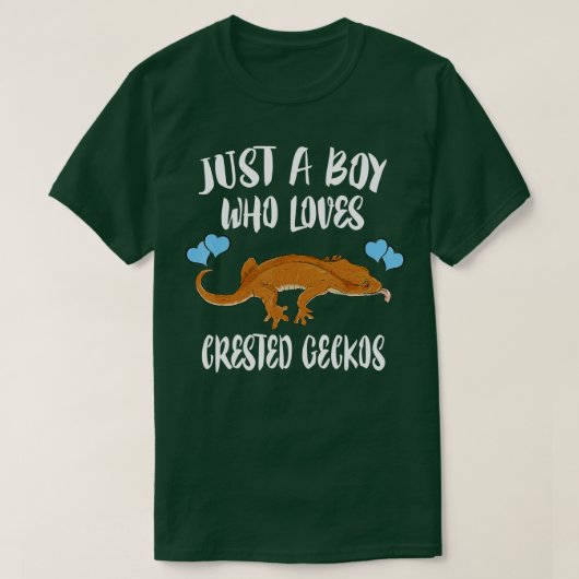 Nur ein Junge, der von Lieben Geckos Ok Pet Lizard T-Shirt (Design vorne)