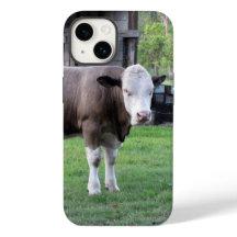 Nur ein kleiner Bull-Handy-Fall