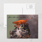 Nur ein kleiner Hinweis, hallo zu sagen! Postkarte (Vorne/Hinten)