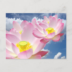 Nur ein Lotus Blossom + Ihr Text & Ideen Postkarte