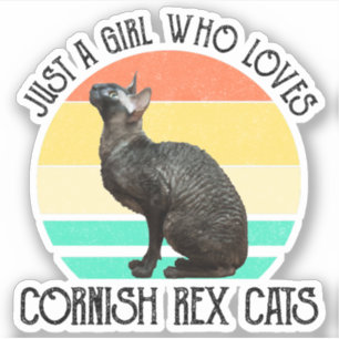 Nur ein Mädchen, das Cornish Rex Katzen liebt Aufkleber