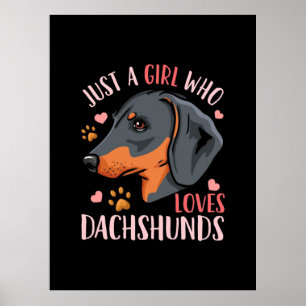 Nur ein Mädchen, das Dachshunds mag Poster