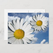 Nur ein Marguerite Blossom + Ihr Text und Ihre Ide Postkarte (Vorne/Hinten)