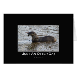 Nur ein Otter Day Geschenke