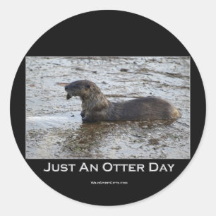 Nur ein Otter Day Geschenke Runder Aufkleber