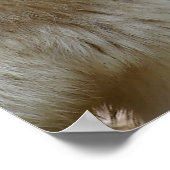 Nur ein paar Wölfe Poster (Ecke)