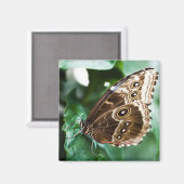 Nur ein Peak Magnet (Vorderseite/Rückseite)