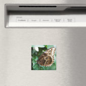 Nur ein Peak Magnet (In Situ (Geschirrspüler))
