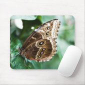 Nur ein Peak Mousepad (Mit Mouse)