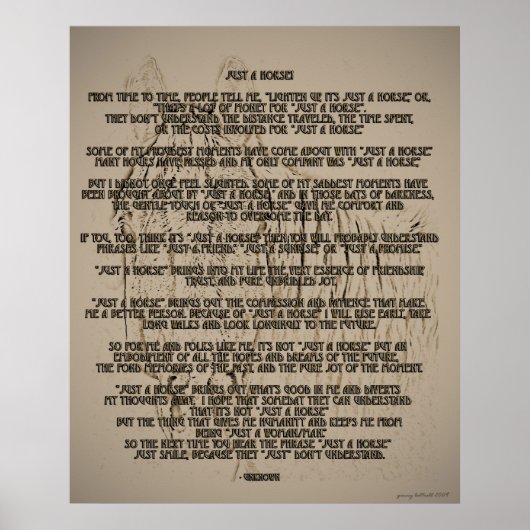 Nur ein Pferd Poster (Vorne)
