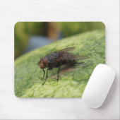 Nur ein verrücktes Bild Mousepad (Mit Mouse)