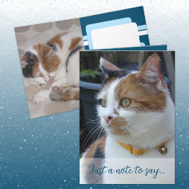 Nur eine Anmerkung, die besagt, dass 3 KatzenFotos Karte