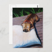 Nur eine Ecke ist in Ordnung! Postkarte (Vorne/Hinten)