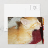 NUR EINE KLICKE POSTKARTE (Vorne/Hinten)