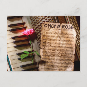 Nur eine Rose II Postkarte