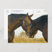 Nur eine Touch Postkarte (Vorne/Hinten)