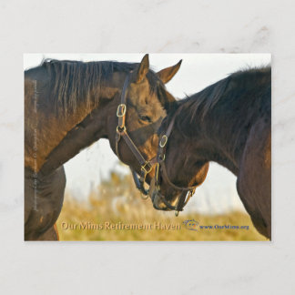 Nur eine Touch Postkarte