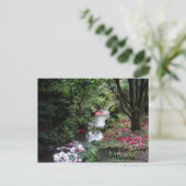 Nur eine Vermisste Postkarte (Stehend Vorderseite)