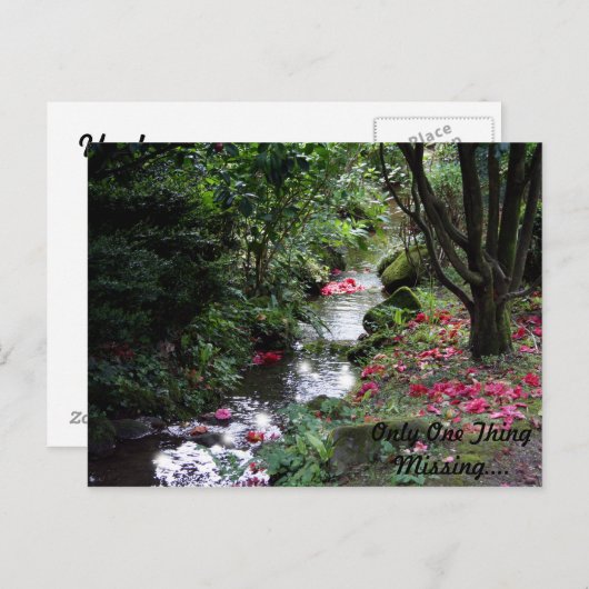 Nur eine Vermisste Postkarte (Vorne/Hinten)