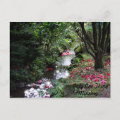 Nur eine Vermisste Postkarte (Vorderseite)