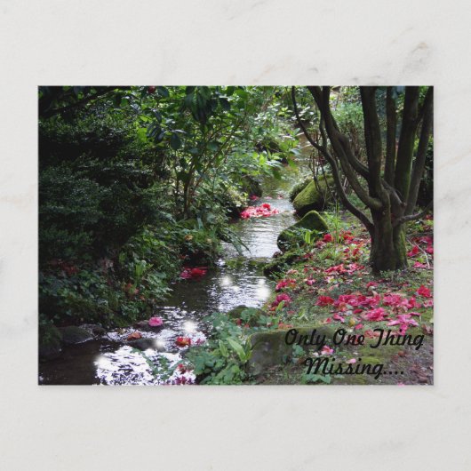 Nur eine Vermisste Postkarte (Vorderseite)